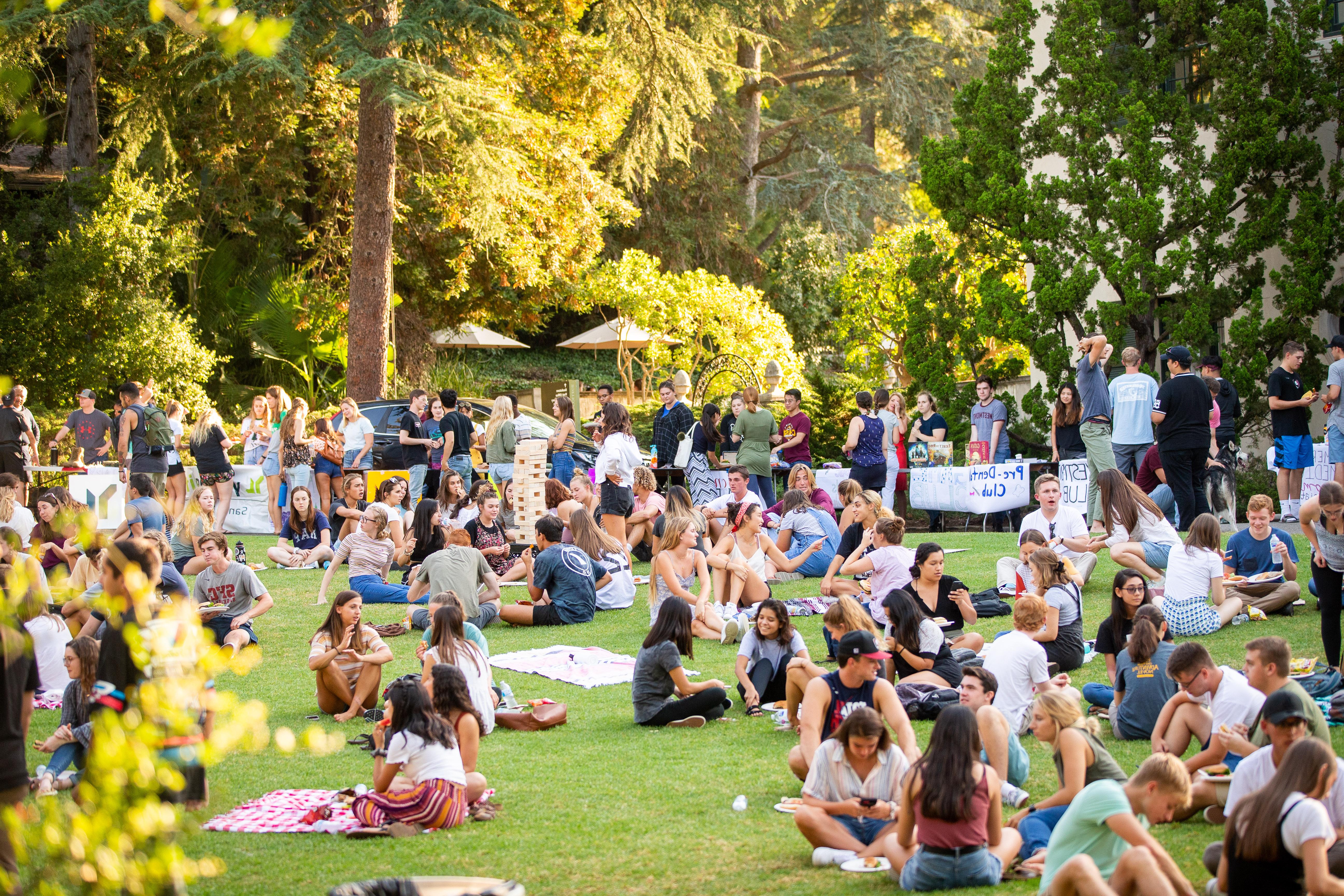 students sitting on the lawn